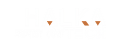 Web Logo